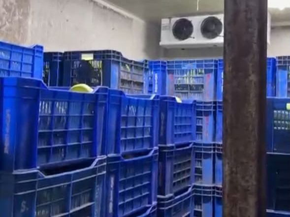 Crates staged inside the Kolkata chamber