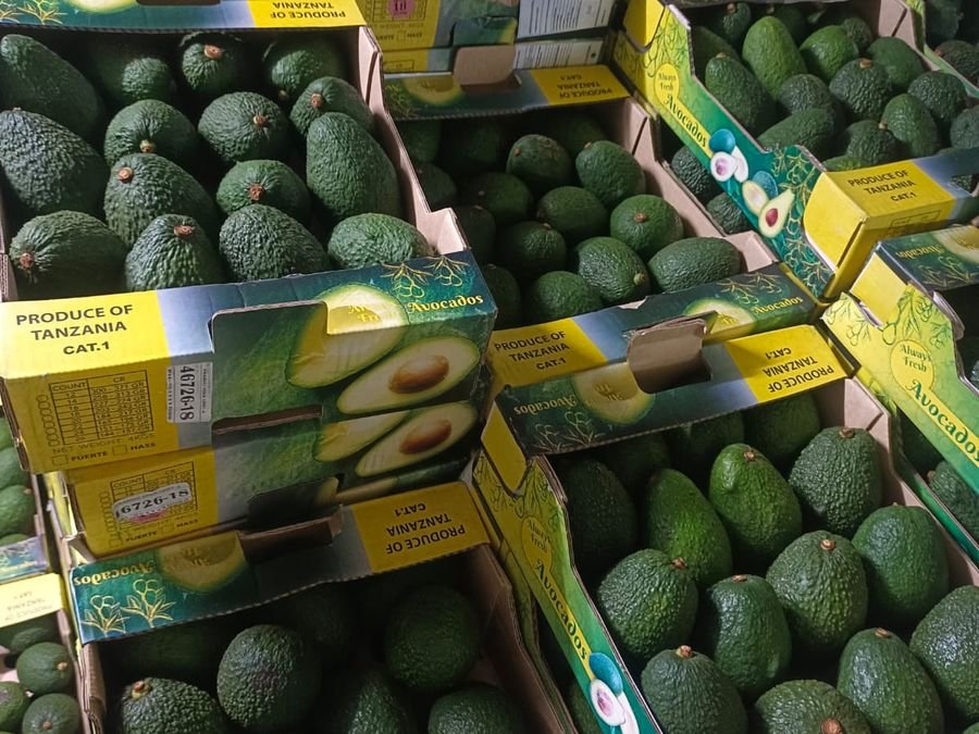 Avocado