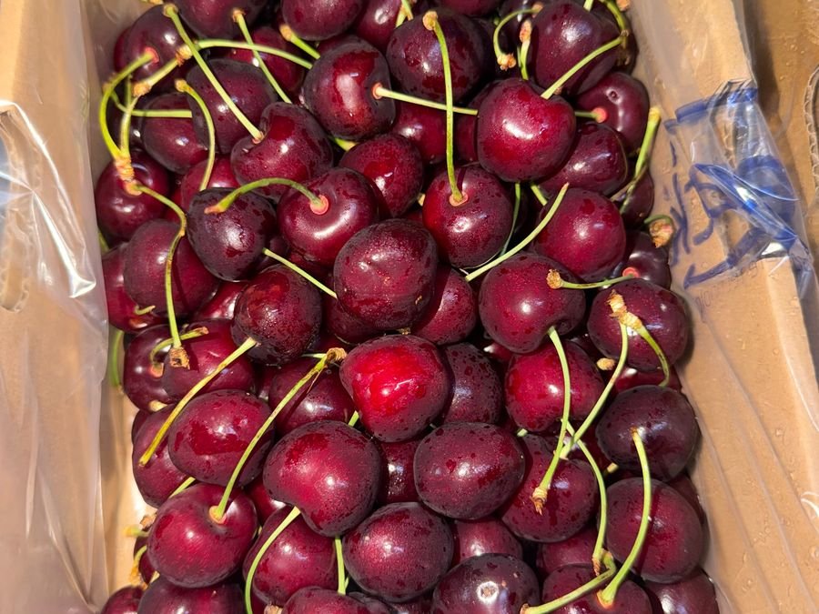 Red cherries