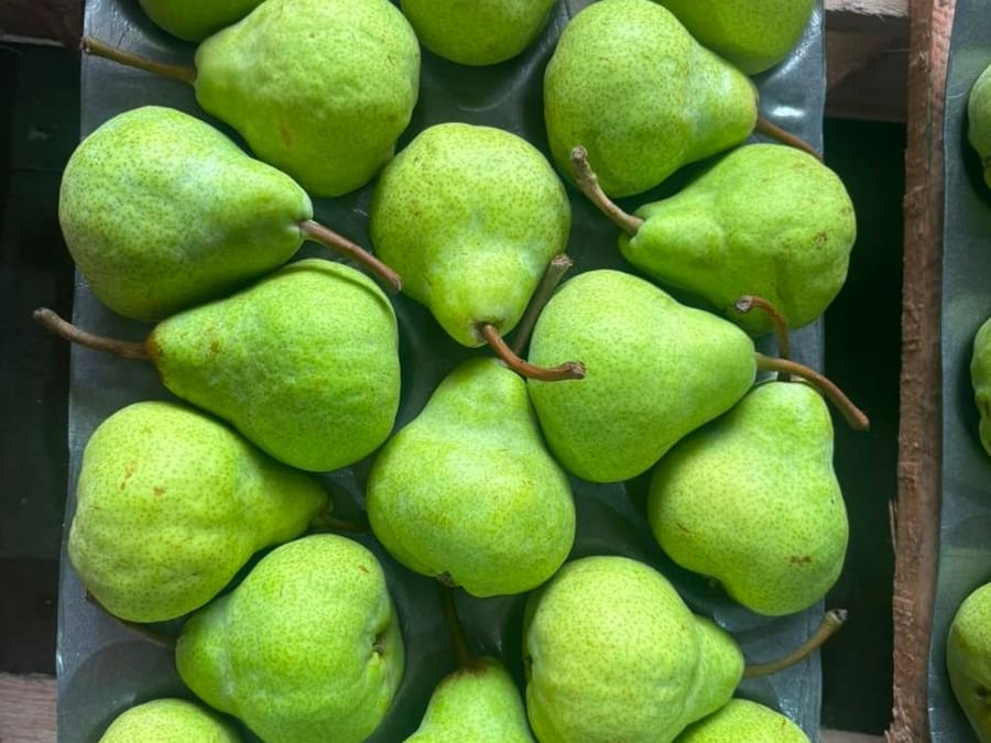 Pears